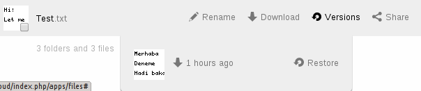 ../_images/files_versioning.png